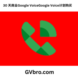 30 天商业Google VoiceGoogle Voice计划购买