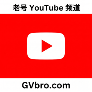 老号 YouTube 频道